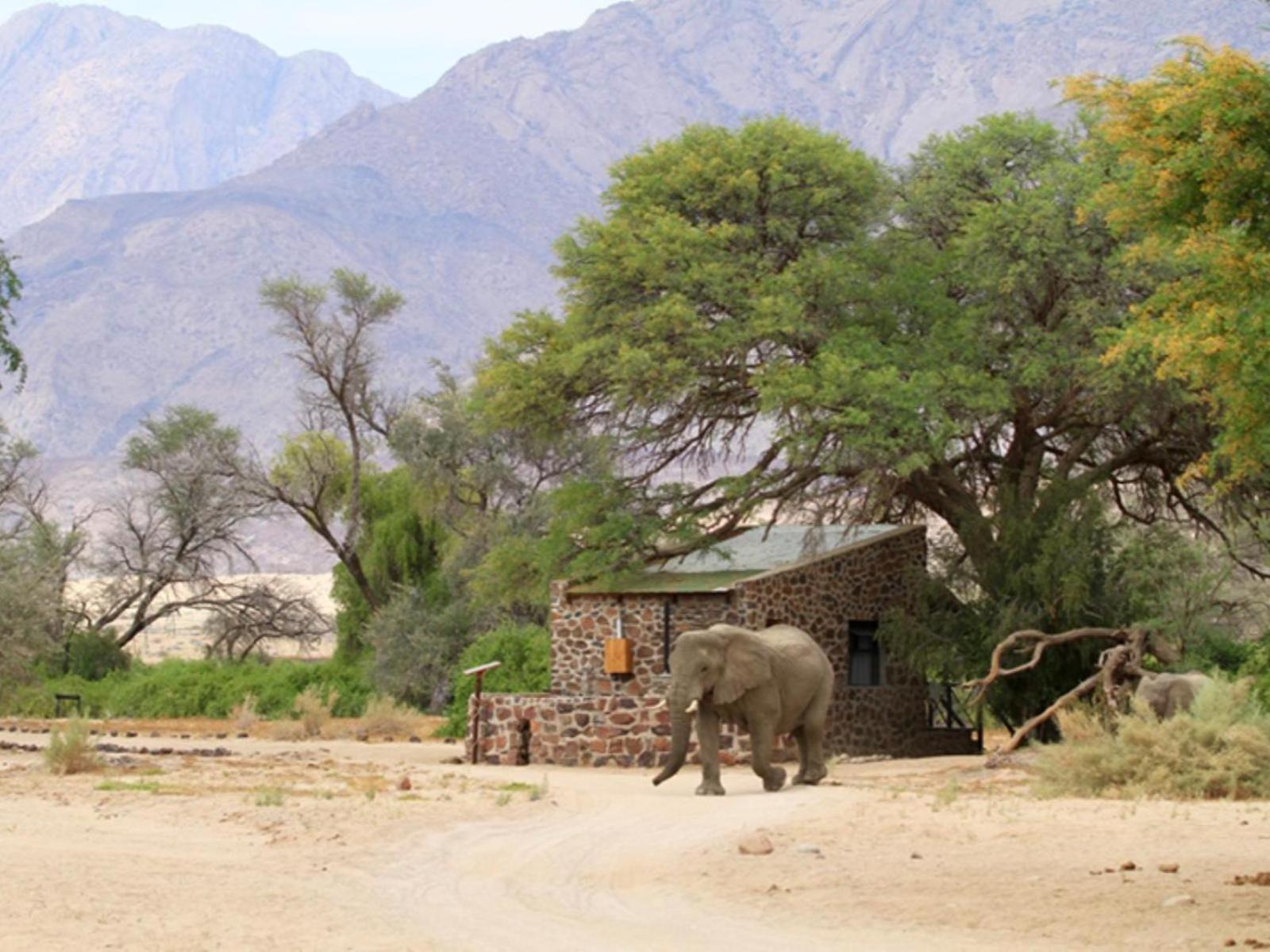 Brandberg White Lady Lodge Uis Eksteriør billede