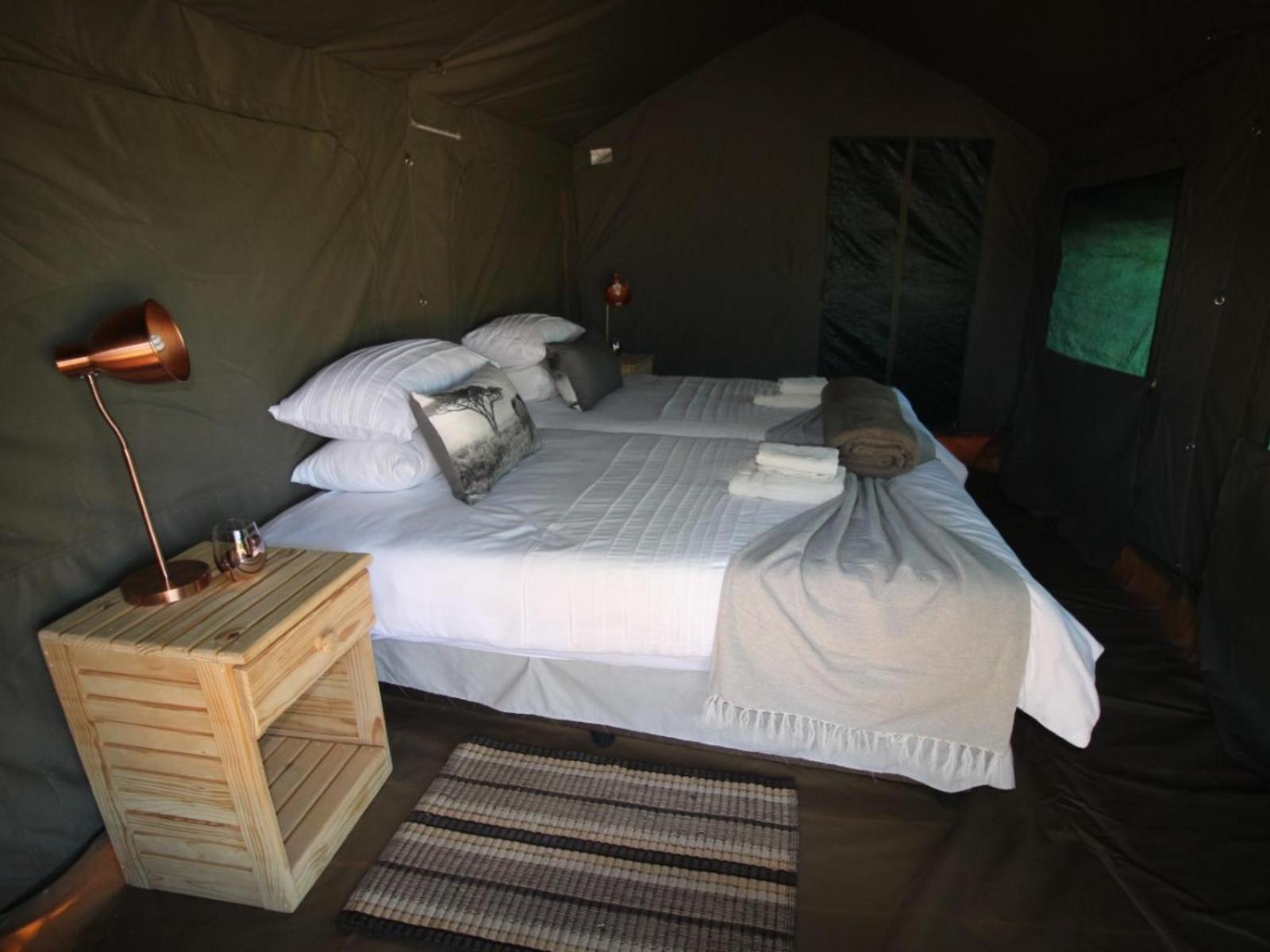 Brandberg White Lady Lodge Uis Eksteriør billede