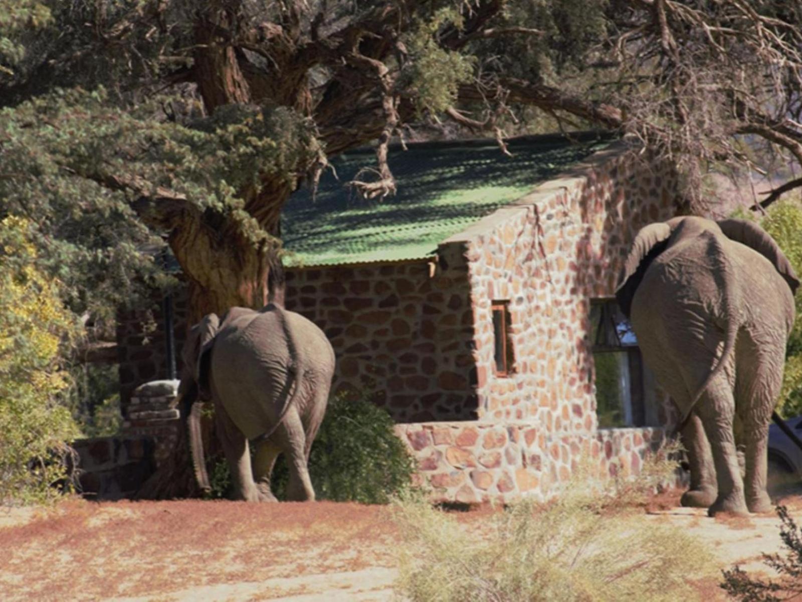Brandberg White Lady Lodge Uis Eksteriør billede