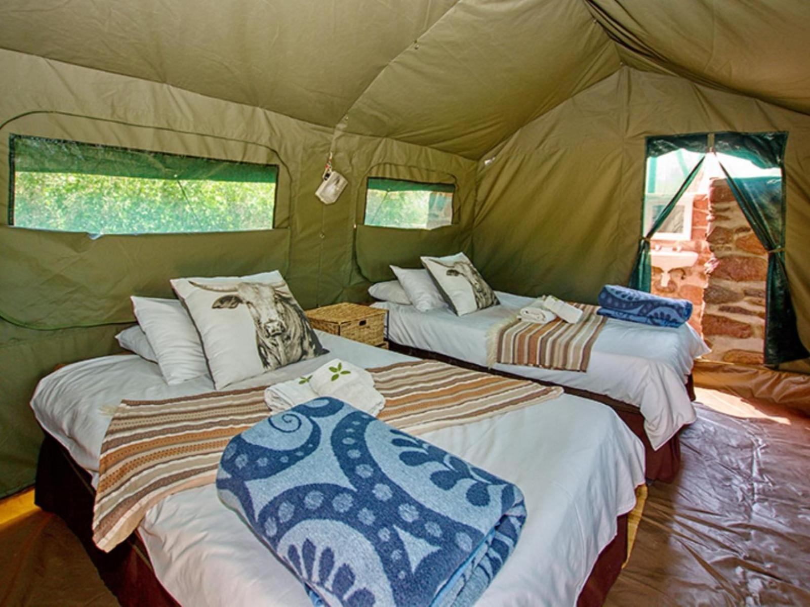 Brandberg White Lady Lodge Uis Eksteriør billede